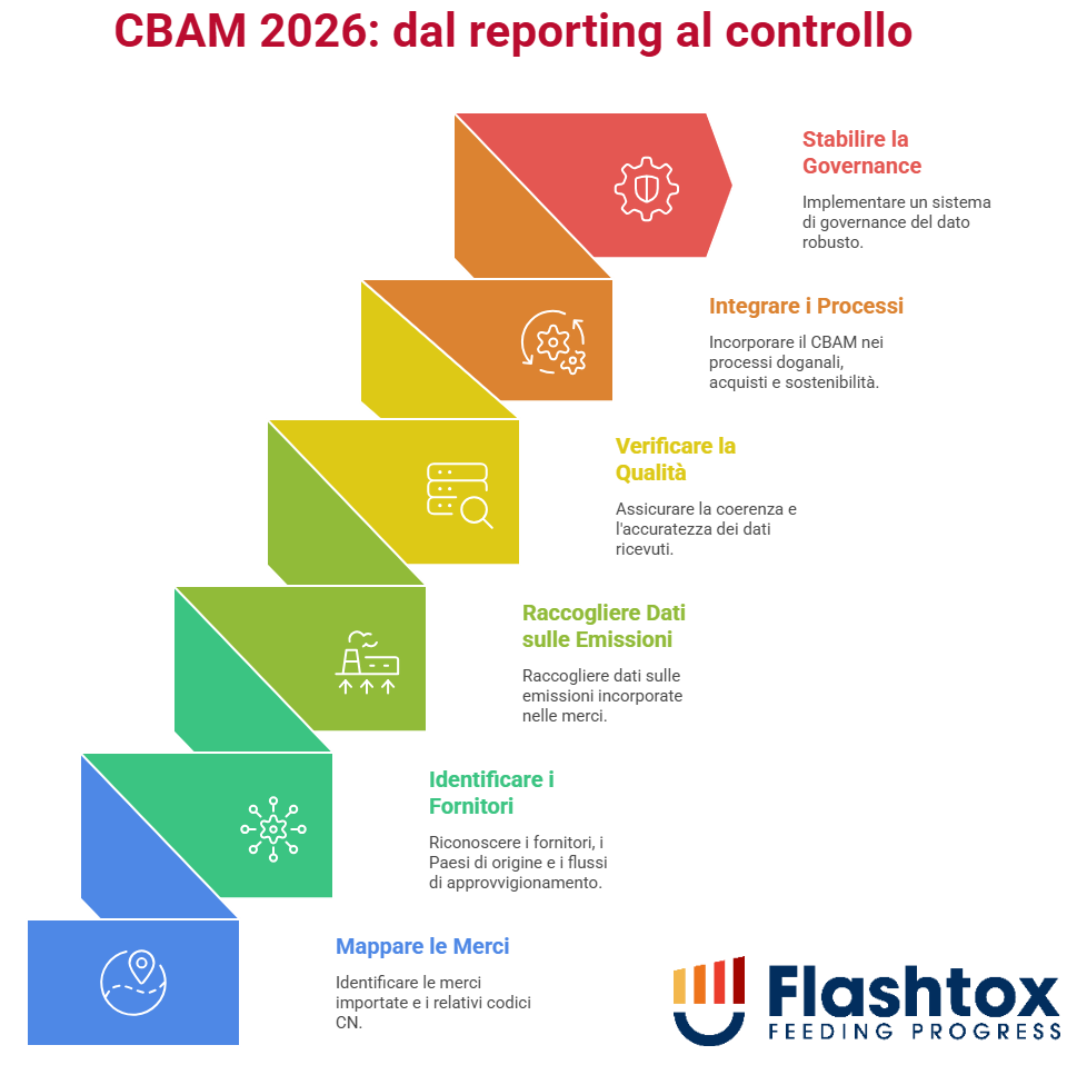 Infografica del reporting CBAM