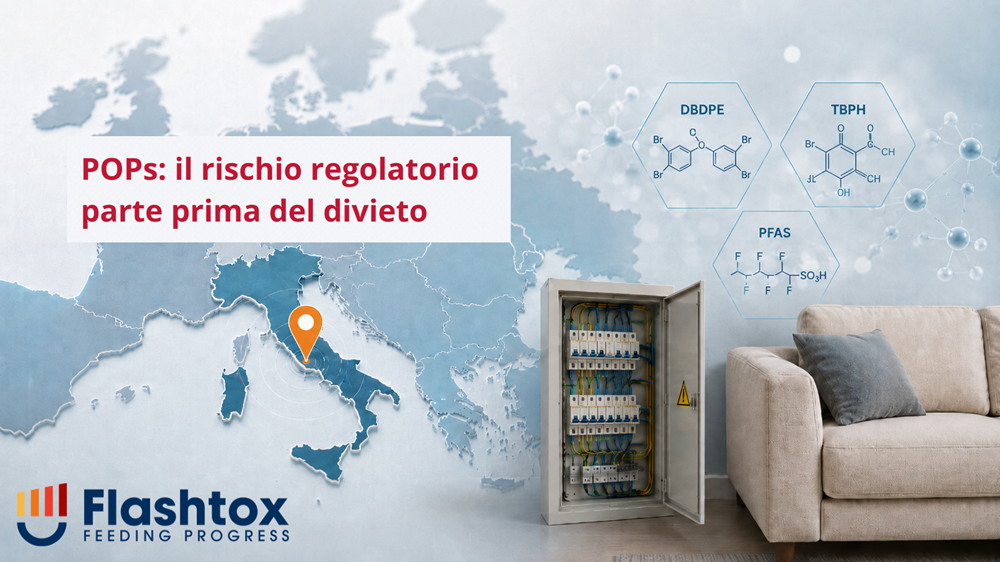 Mappa con indicazione della posizione sulla città di Roma, affiancata da elementi chimici stilizzati, da un quadro elettrico e da un divano, per rappresentare il monitoraggio internazionale degli inquinanti organici persistenti lungo la filiera. In sovrimpressione la scritta “POPs: il rischio regolatorio parte prima del divieto”.